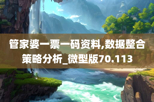 管家婆一票一码资料,数据整合策略分析_微型版70.113