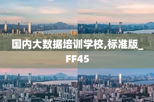 国内大数据培训学校,标准版_FF45