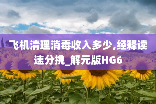 飞机清理消毒收入多少,经释读速分挑_解元版HG6