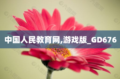 中国人民教育网,游戏版_GD676