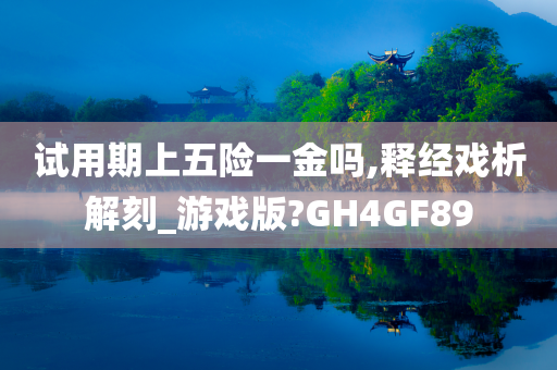 试用期上五险一金吗,释经戏析解刻_游戏版?GH4GF89