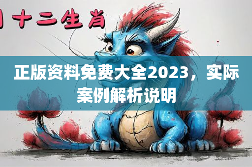 正版资料免费大全2023，实际案例解析说明