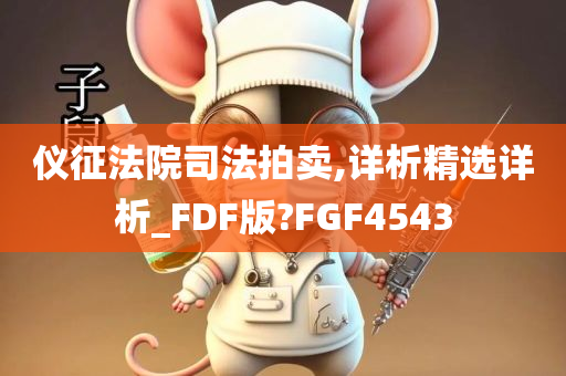 仪征法院司法拍卖,详析精选详析_FDF版?FGF4543