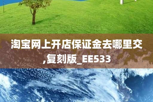 淘宝网上开店保证金去哪里交,复刻版_EE533