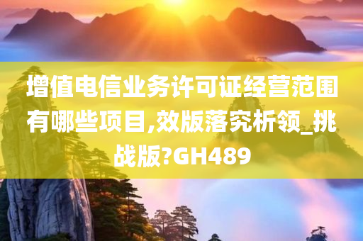 增值电信业务许可证经营范围有哪些项目,效版落究析领_挑战版?GH489