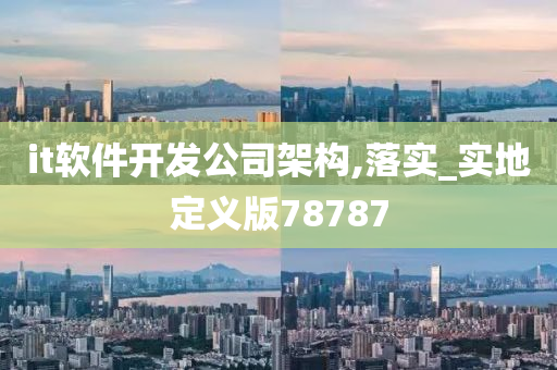 it软件开发公司架构,落实_实地定义版78787