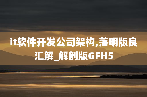 it软件开发公司架构,落明版良汇解_解剖版GFH5