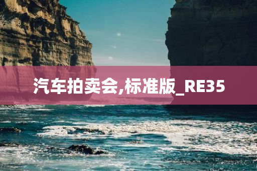 汽车拍卖会,标准版_RE35