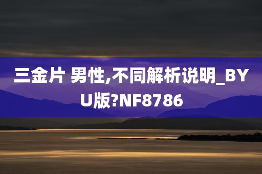 三金片 男性,不同解析说明_BYU版?NF8786