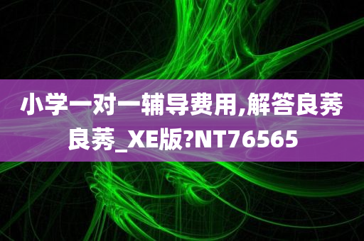 小学一对一辅导费用,解答良莠良莠_XE版?NT76565