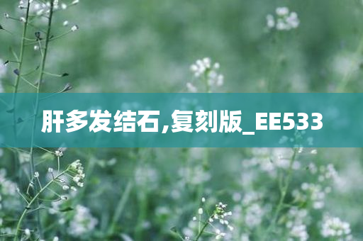 肝多发结石,复刻版_EE533