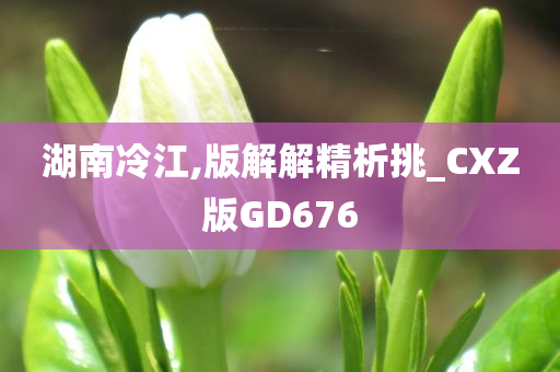 湖南冷江,版解解精析挑_CXZ版GD676