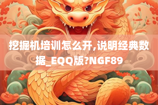 挖掘机培训怎么开,说明经典数据_EQQ版?NGF89