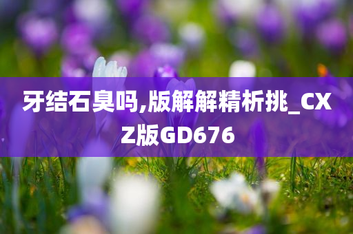 牙结石臭吗,版解解精析挑_CXZ版GD676