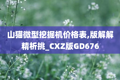 山猫微型挖掘机价格表,版解解精析挑_CXZ版GD676