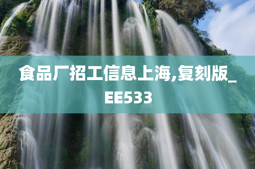 食品厂招工信息上海,复刻版_EE533