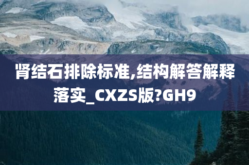 肾结石排除标准,结构解答解释落实_CXZS版?GH9