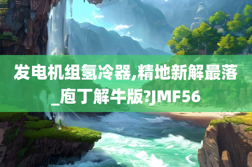 发电机组氢冷器,精地新解最落_庖丁解牛版?JMF56