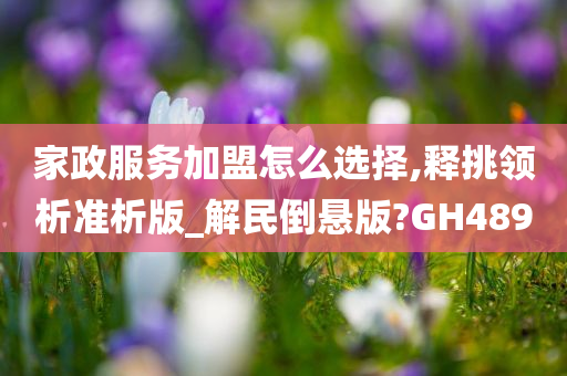 家政服务加盟怎么选择,释挑领析准析版_解民倒悬版?GH489