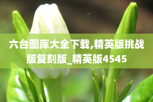 六台图库大全下载,精英版挑战版复刻版_精英版4545