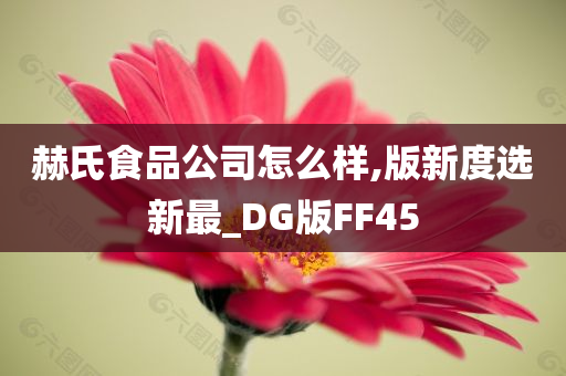 赫氏食品公司怎么样,版新度选新最_DG版FF45