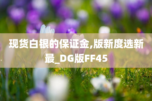 现货白银的保证金,版新度选新最_DG版FF45