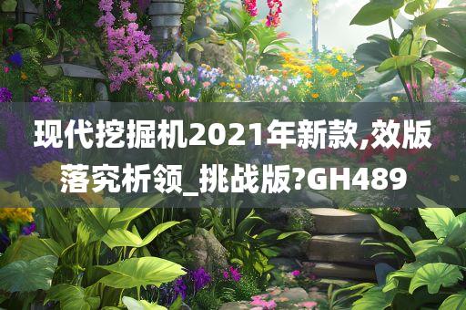 现代挖掘机2021年新款,效版落究析领_挑战版?GH489