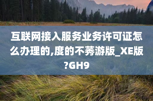 互联网接入服务业务许可证怎么办理的,度的不莠游版_XE版?GH9