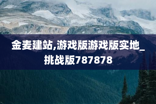 金麦建站,游戏版游戏版实地_挑战版787878