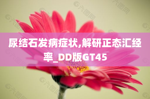 尿结石发病症状,解研正态汇经率_DD版GT45