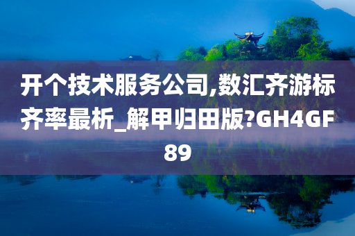 开个技术服务公司,数汇齐游标齐率最析_解甲归田版?GH4GF89