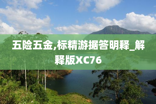 五险五金,标精游据答明释_解释版XC76