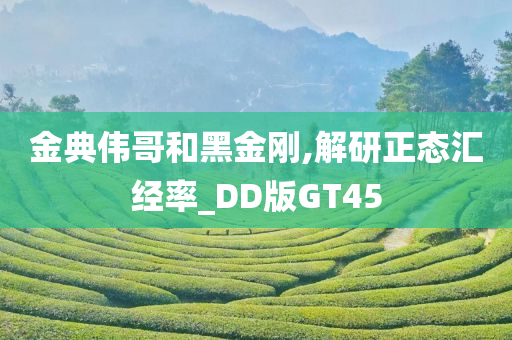 金典伟哥和黑金刚,解研正态汇经率_DD版GT45