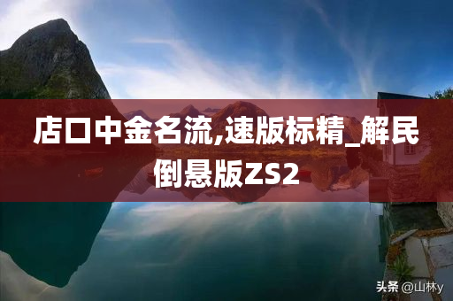 店口中金名流,速版标精_解民倒悬版ZS2