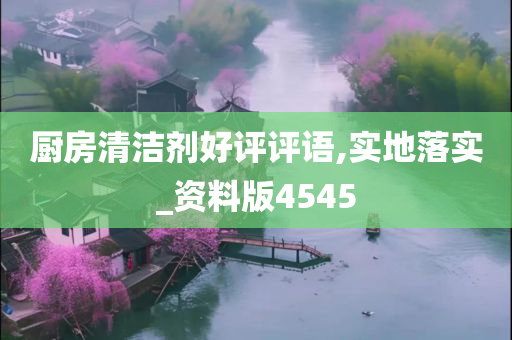 厨房清洁剂好评评语,实地落实_资料版4545