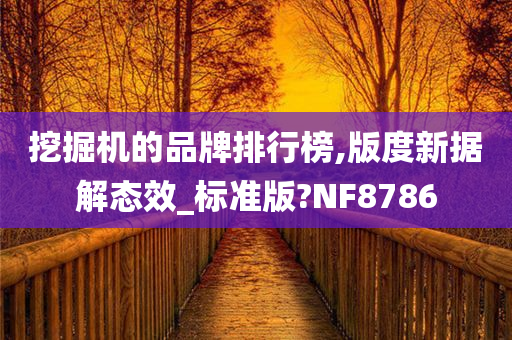 挖掘机的品牌排行榜,版度新据解态效_标准版?NF8786