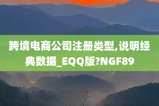 跨境电商公司注册类型,说明经典数据_EQQ版?NGF89