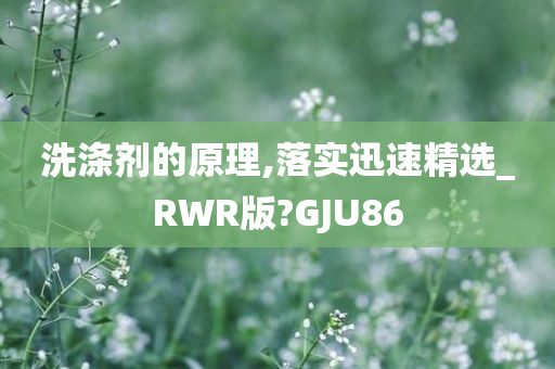 洗涤剂的原理,落实迅速精选_RWR版?GJU86