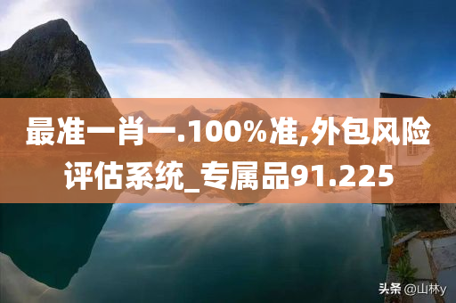 最准一肖一.100%准,外包风险评估系统_专属品91.225