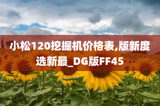 小松120挖掘机价格表,版新度选新最_DG版FF45