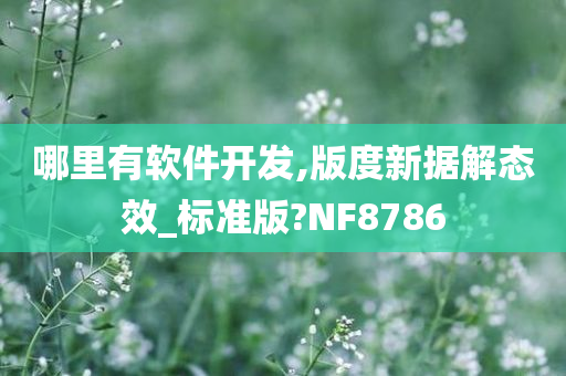 哪里有软件开发,版度新据解态效_标准版?NF8786