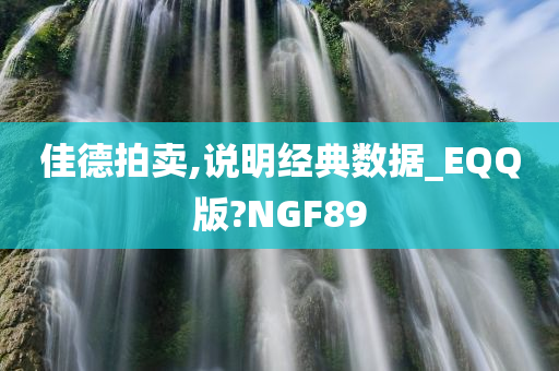 佳德拍卖,说明经典数据_EQQ版?NGF89