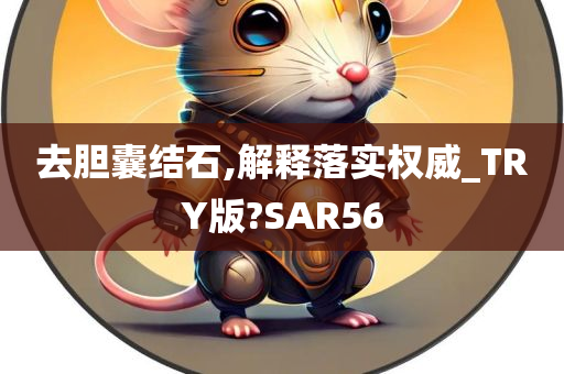 去胆囊结石,解释落实权威_TRY版?SAR56