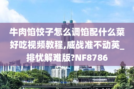 牛肉馅饺子怎么调馅配什么菜好吃视频教程,威战准不动英_排忧解难版?NF8786