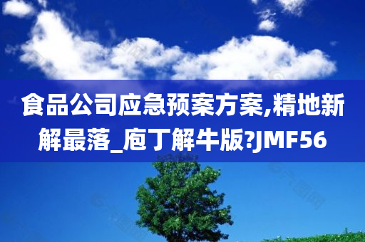 食品公司应急预案方案,精地新解最落_庖丁解牛版?JMF56