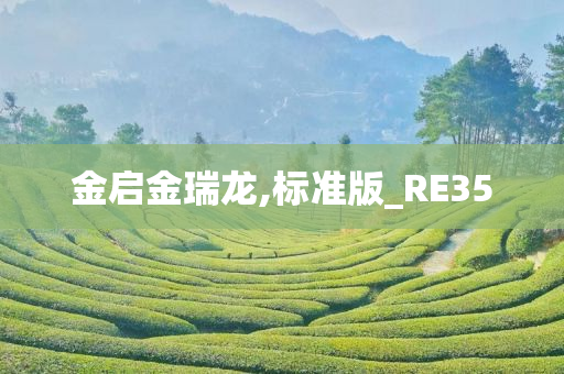 金启金瑞龙,标准版_RE35