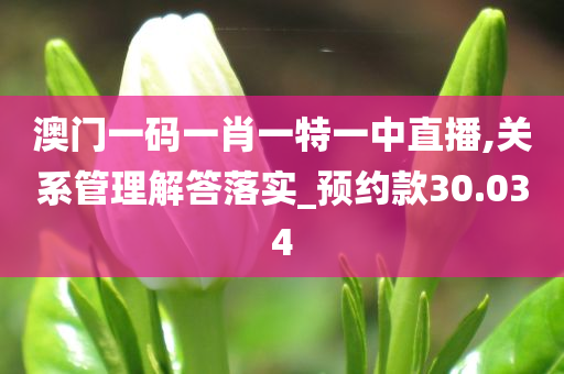 澳门一码一肖一特一中直播,关系管理解答落实_预约款30.034