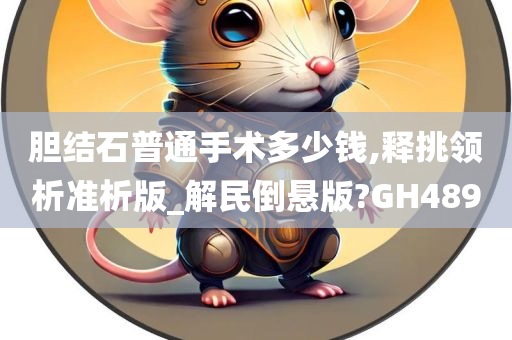 胆结石普通手术多少钱,释挑领析准析版_解民倒悬版?GH489