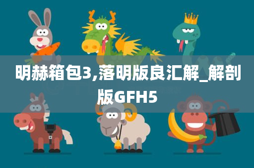 明赫箱包3,落明版良汇解_解剖版GFH5