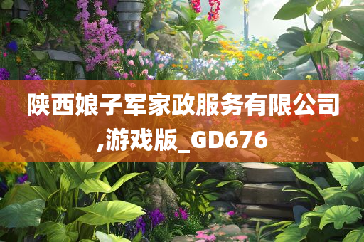 陕西娘子军家政服务有限公司,游戏版_GD676